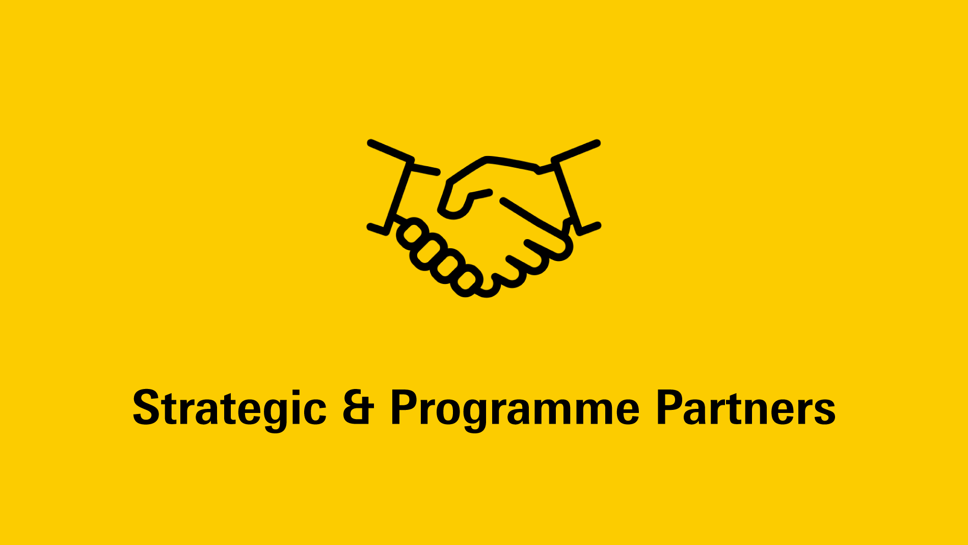 Strategic & Programme Partners