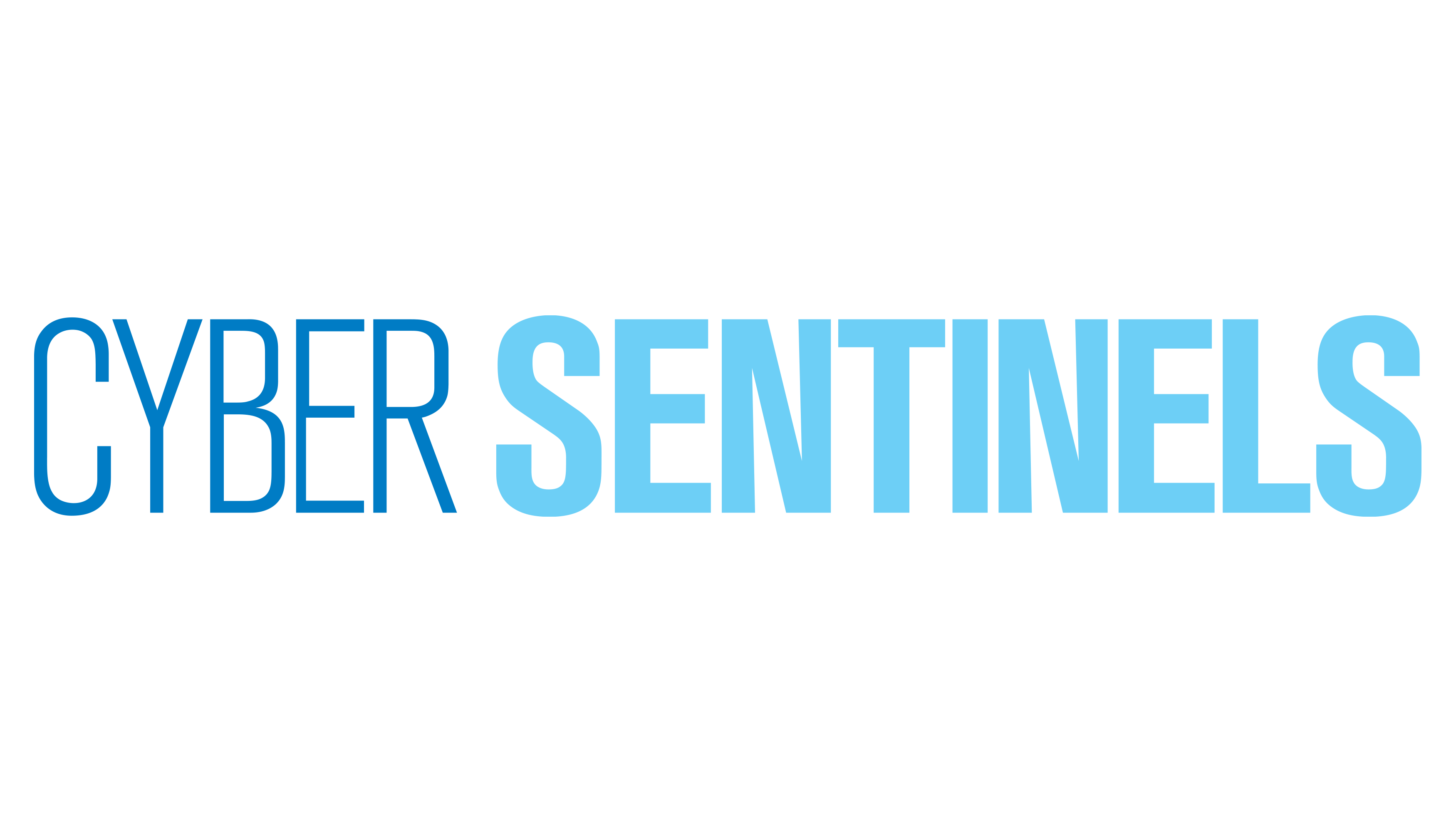cyber sentinels